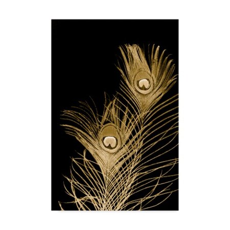 Trademark Fine Art